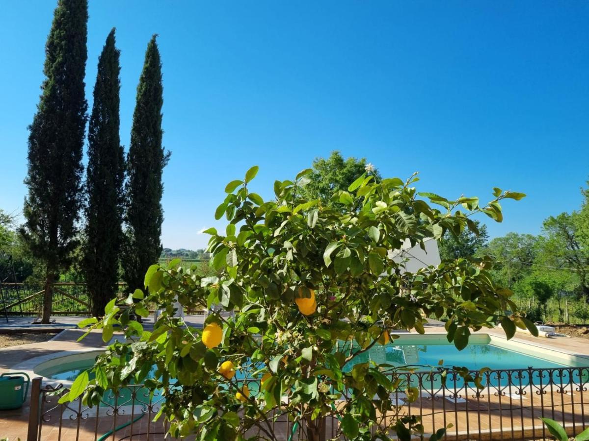 Apartament Fornace Del Conte Abbadia di Montepulciano Zewnętrze zdjęcie