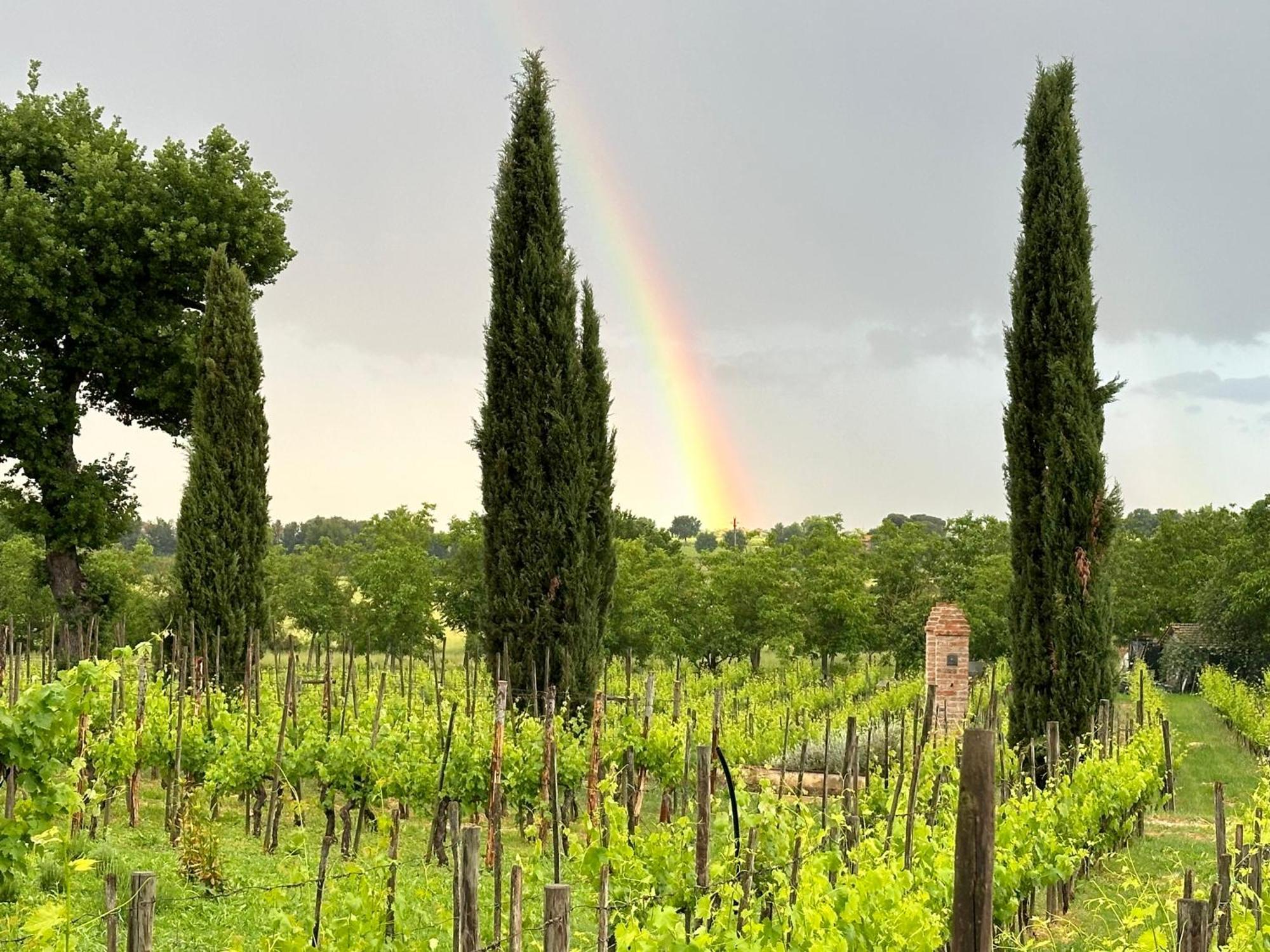 Apartament Fornace Del Conte Abbadia di Montepulciano Zewnętrze zdjęcie